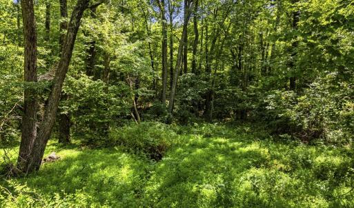 Photo #21 of COUNTRY CREEK LN, AMISSVILLE, VA 14.0 acres