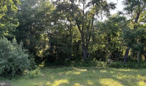 Photo #9 of BANK ROAD, WASHINGTON, VA 4.8 acres