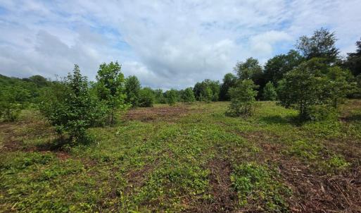 Photo #5 of 24375 CONSTITUTION HWY, UNIONVILLE, VA 2.3 acres