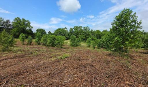 Photo #6 of 24375 CONSTITUTION HWY, UNIONVILLE, VA 2.3 acres