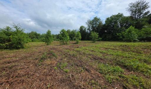 Photo #7 of 24375 CONSTITUTION HWY, UNIONVILLE, VA 2.3 acres