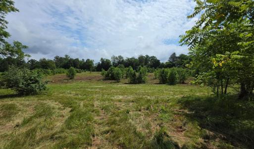 Photo #9 of 24375 CONSTITUTION HWY, UNIONVILLE, VA 2.3 acres