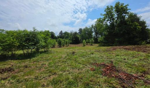Photo #11 of 24375 CONSTITUTION HWY, UNIONVILLE, VA 2.3 acres