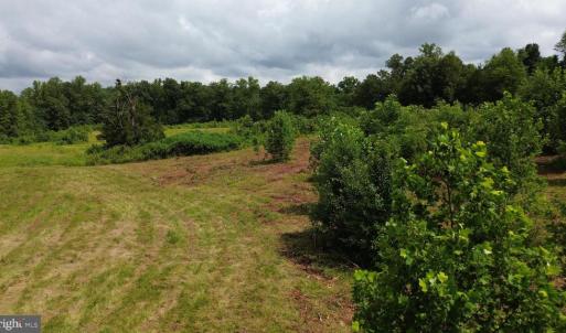 Photo #19 of 24375 CONSTITUTION HWY, UNIONVILLE, VA 2.3 acres