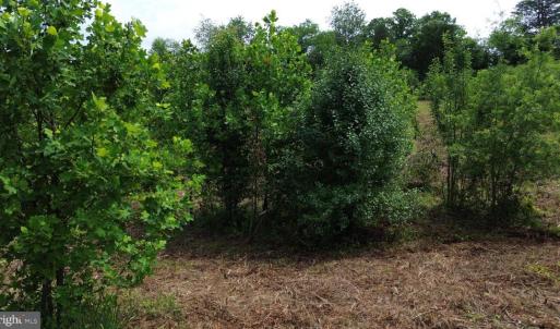 Photo #20 of 24375 CONSTITUTION HWY, UNIONVILLE, VA 2.3 acres