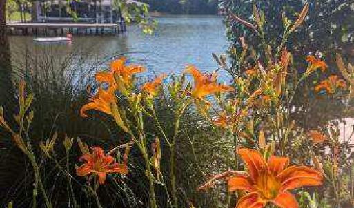 Photo #5 of COMMODORE LN, BUMPASS, VA 2.0 acres