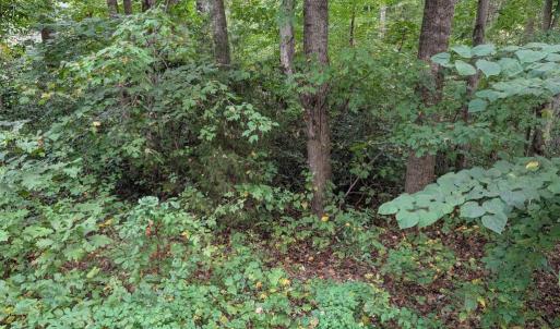 Photo #4 of 203 BATTLEFIELD RD, LOCUST GROVE, VA