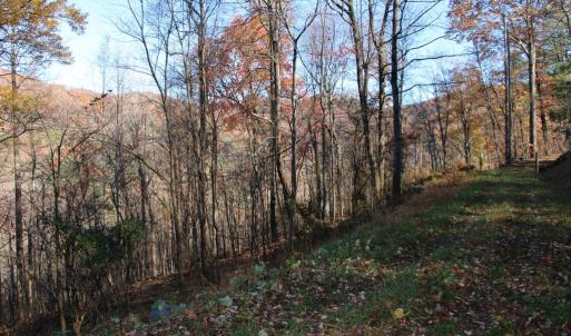 Photo #2 of 00 OVERLOOK MOUNTAIN RD, ELKTON, VA 6.7 acres