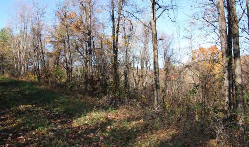 Photo #6 of 00 OVERLOOK MOUNTAIN RD, ELKTON, VA 6.7 acres
