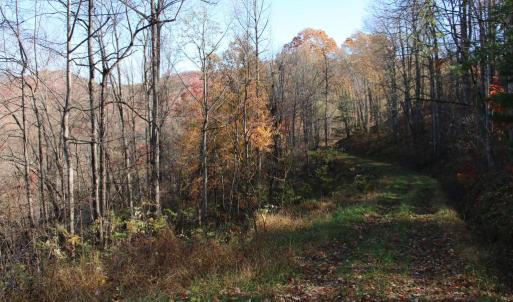 Photo #7 of 00 OVERLOOK MOUNTAIN RD, ELKTON, VA 6.7 acres