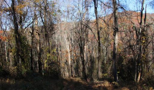 Photo #18 of 00 OVERLOOK MOUNTAIN RD, ELKTON, VA 6.7 acres