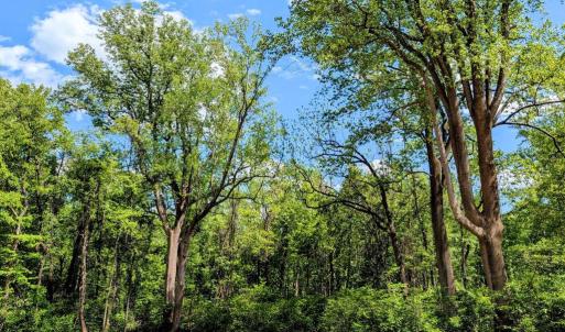 Photo #9 of 3964 HIDDEN VALLEY LN, MARSHALL, VA 5.0 acres