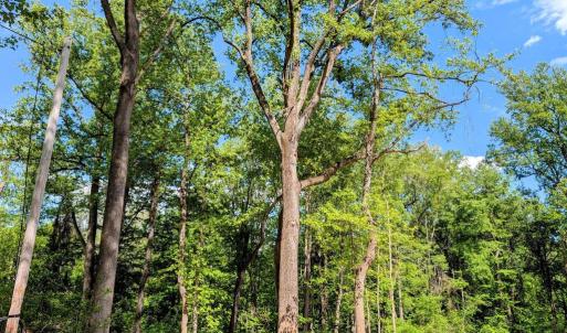 Photo #15 of 3964 HIDDEN VALLEY LN, MARSHALL, VA 5.0 acres