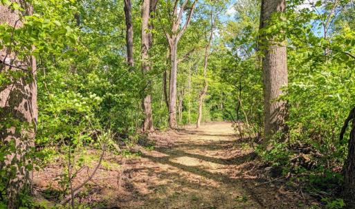Photo #18 of 3964 HIDDEN VALLEY LN, MARSHALL, VA 5.0 acres