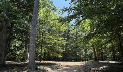 Photo #7 of PARRISH RD, LOUISA, VA 5.2 acres