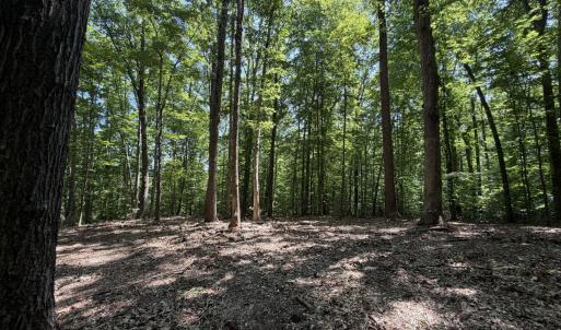 Photo #2 of PARRISH RD, LOUISA, VA 5.2 acres