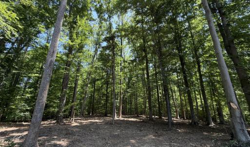 Photo #8 of PARRISH RD, LOUISA, VA 5.2 acres