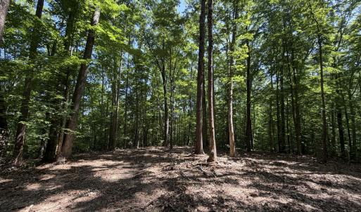 Photo #1 of PARRISH RD, LOUISA, VA 5.2 acres