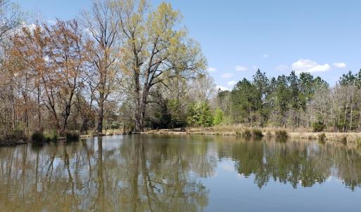 Photo #12 of 716 Augusta, Edgefield, SC 30.3 acres