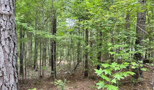 IMG-8027