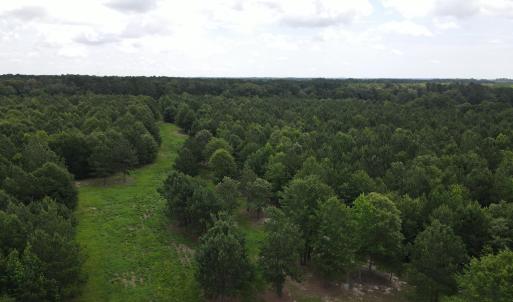 DJI_0524