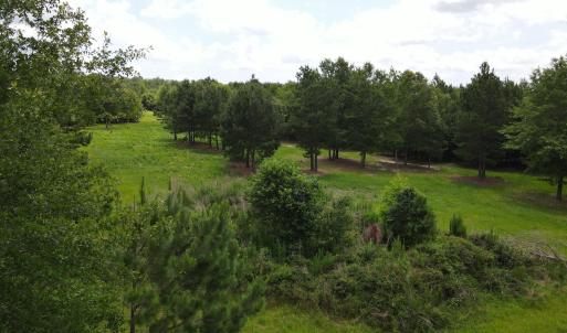 DJI_0554