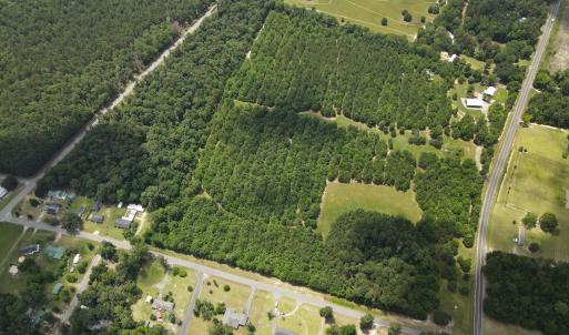 DJI_0532
