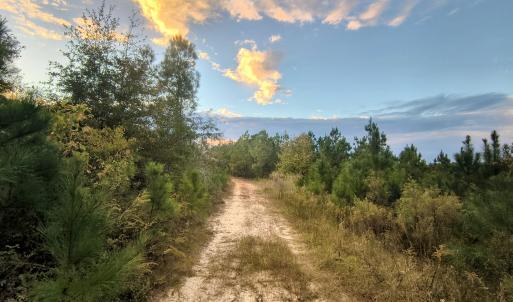 44 Acres
