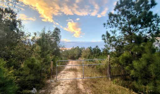 44 Acres
