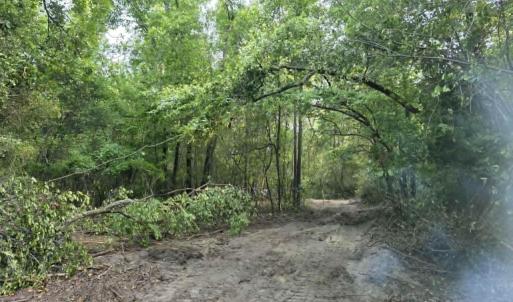 Photo #4 of 6 Acres Woodberry, North Augusta, SC