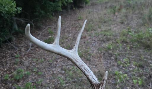 Photo #3 of 7a Woodberry, North Augusta, SC