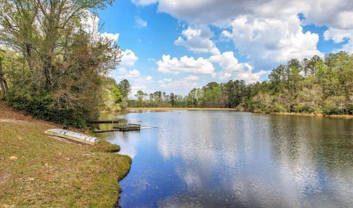 Pond View