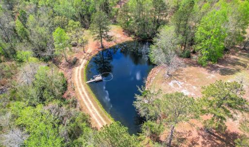 Pond Aerial