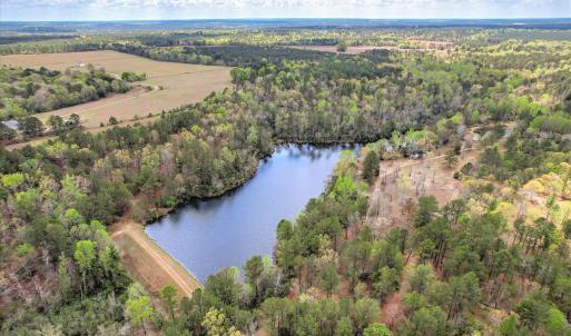 Main Pond Aerial