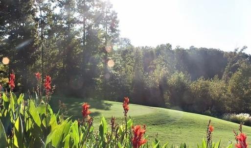 Photo #9 of Lot 1687 Point, Westminster, SC 0.3 acres