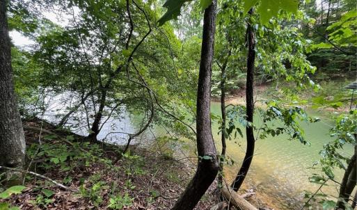 Photo #1 of Lot 1682 Point, Westminster, SC 0.3 acres