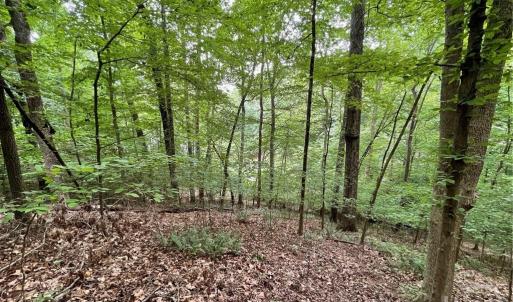 Photo #7 of Lot 1682 Point, Westminster, SC 0.3 acres