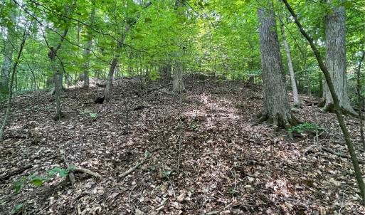 Photo #11 of Lot 1682 Point, Westminster, SC 0.3 acres