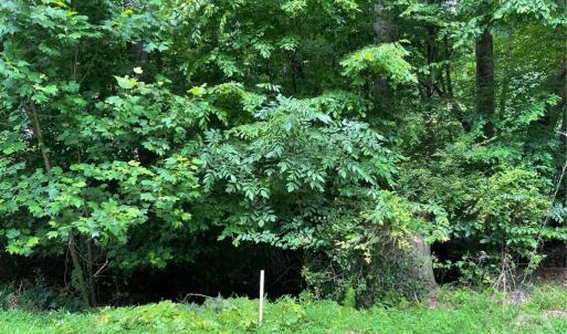Photo #4 of Lot 1682 Point, Westminster, SC 0.3 acres