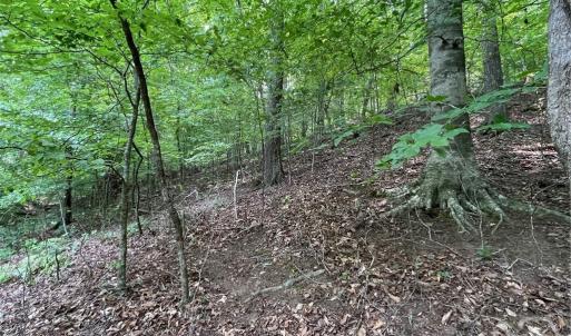 Photo #10 of Lot 1682 Point, Westminster, SC 0.3 acres