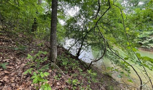 Photo #2 of Lot 1682 Point, Westminster, SC 0.3 acres