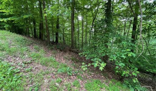 Photo #6 of Lot 1682 Point, Westminster, SC 0.3 acres