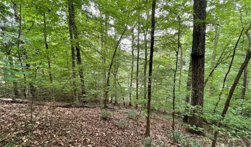 Photo #8 of Lot 1682 Point, Westminster, SC 0.3 acres