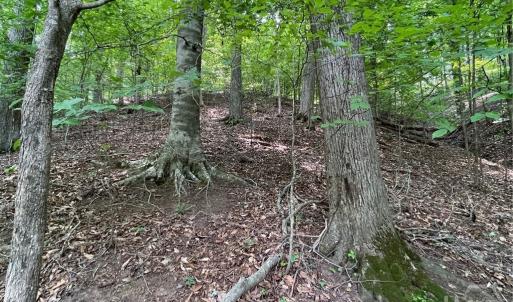 Photo #9 of Lot 1682 Point, Westminster, SC 0.3 acres