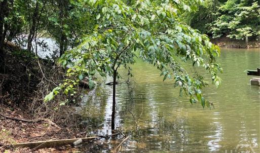 Photo #3 of Lot 1682 Point, Westminster, SC 0.3 acres