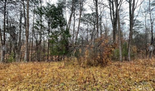 Photo #2 of Lot 851 Nicklaus, Westminster, SC 0.3 acres