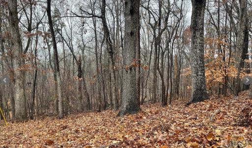 Photo #1 of Lot 2134 Arrowhead, Westminster, SC 0.3 acres