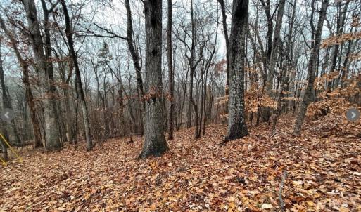 Photo #3 of Lot 2134 Arrowhead, Westminster, SC 0.3 acres