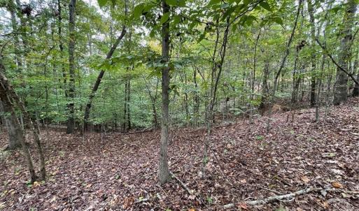Photo #3 of Lot 296 Oconee, Westminster, SC 0.5 acres