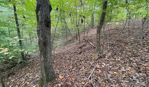 Photo #4 of Lot 296 Oconee, Westminster, SC 0.5 acres